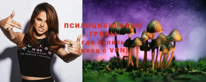 Псилоцибиновые грибы Magic Shrooms  Вятские Поляны 